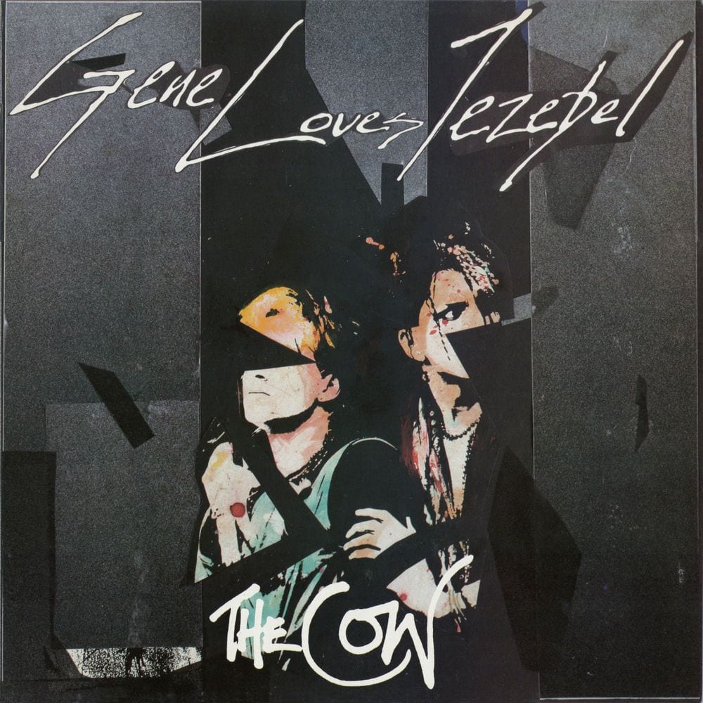 The Cow cover