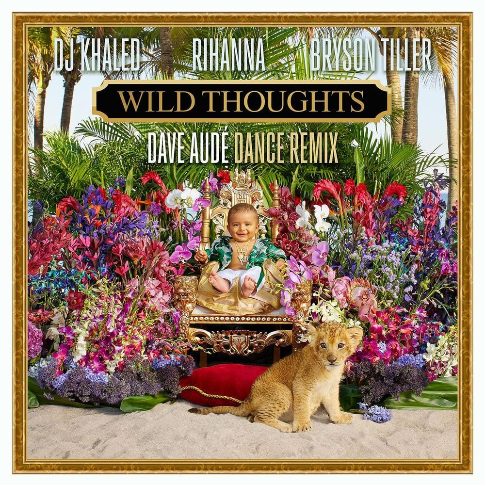 Wild Thoughts (feat. Rihanna & Bryson Tiller) (Dave Audé Dance Remix) cover