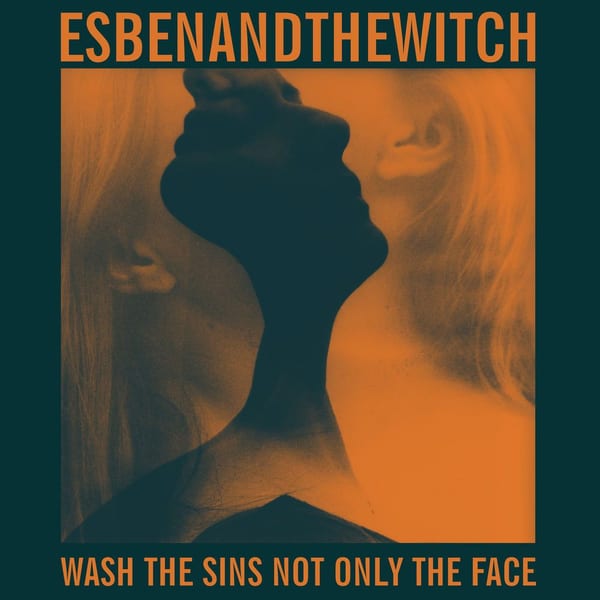 Wash the Sins Not Only the Face cover