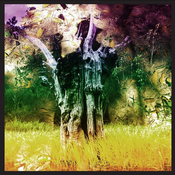 Meeting Of The Waters cover