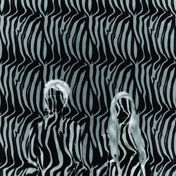 Zebra cover