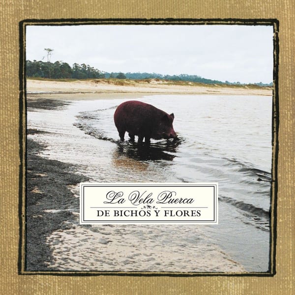 De bichos y flores cover