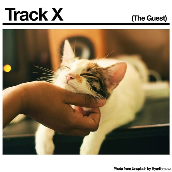 Track X (The Guest) cover