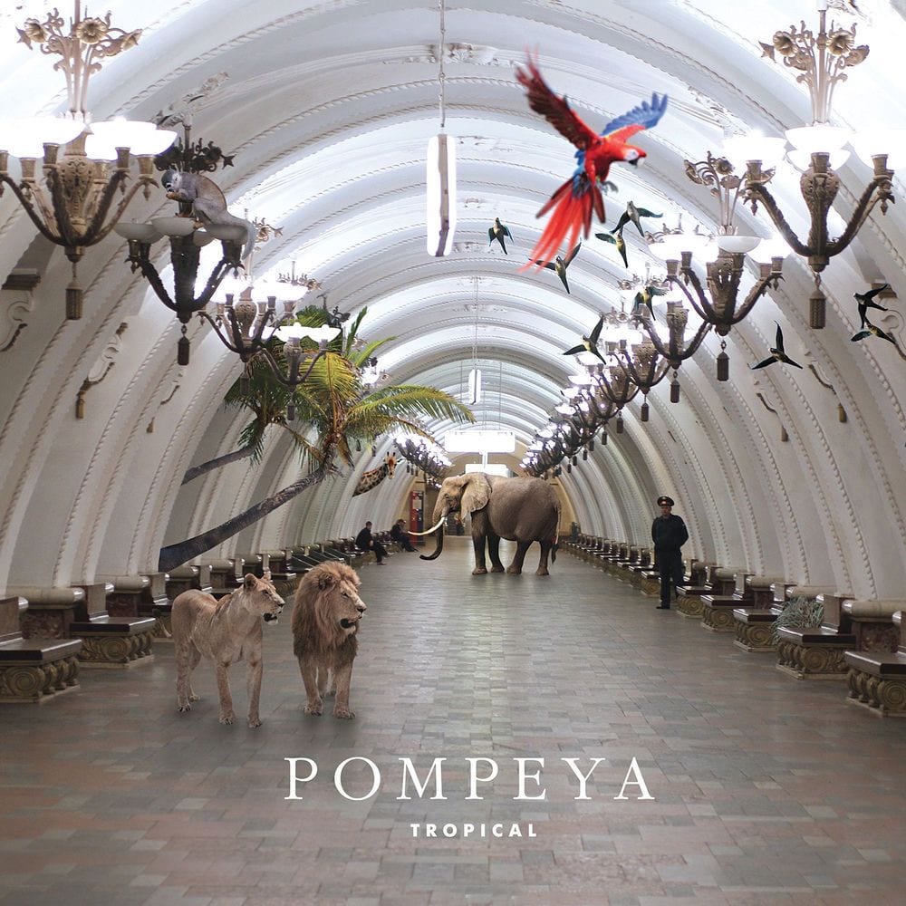 Tropical cover