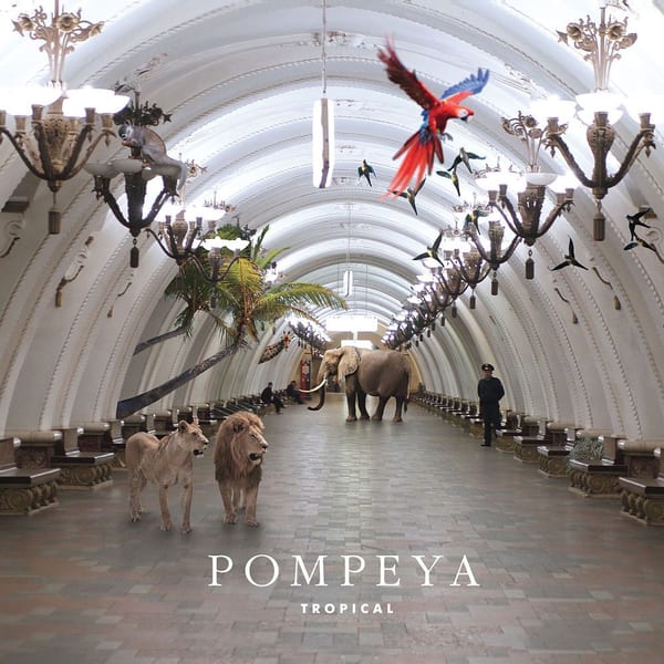 Tropical cover