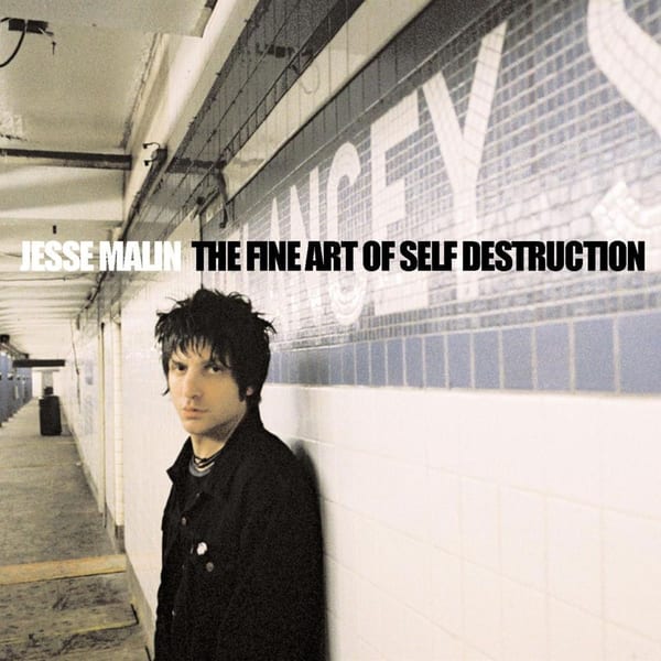 The Fine Art of Self Destruction cover