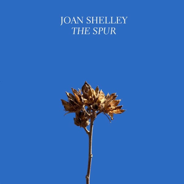 The Spur cover