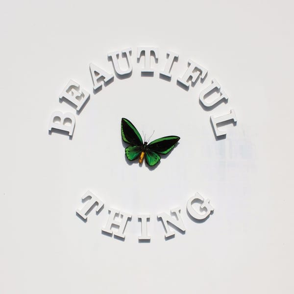 Beautiful Thing album cover