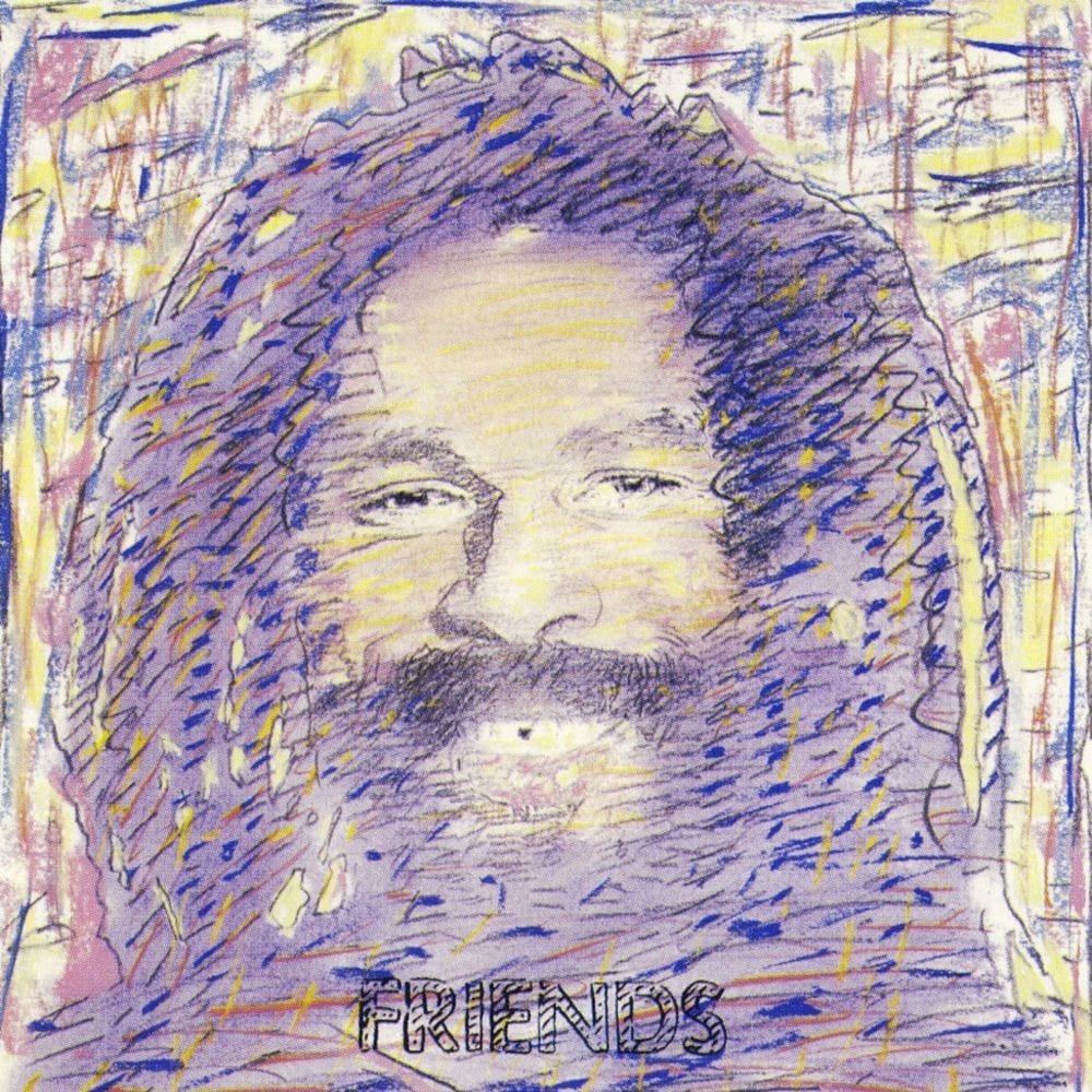 Friends cover