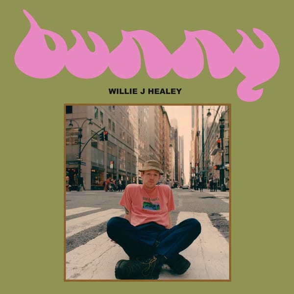Bunny cover