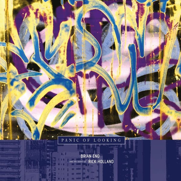 Panic of Looking cover