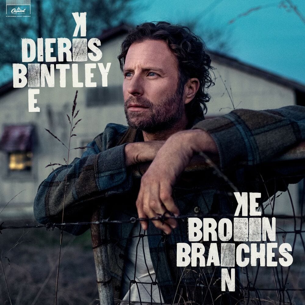 Broken Branches cover