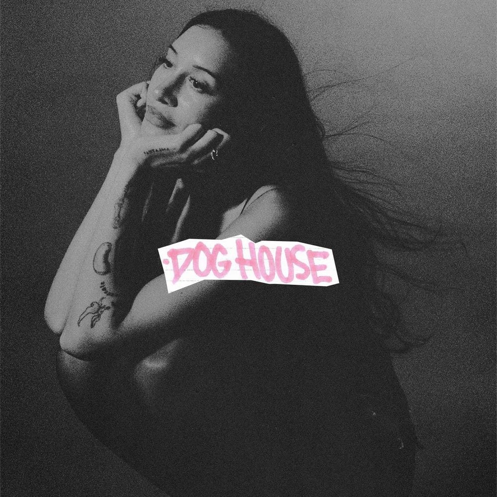 DOG HOUSE cover