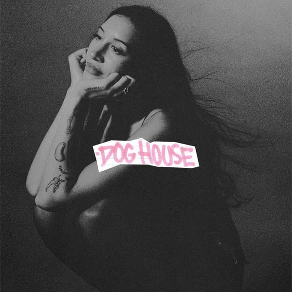 DOG HOUSE cover