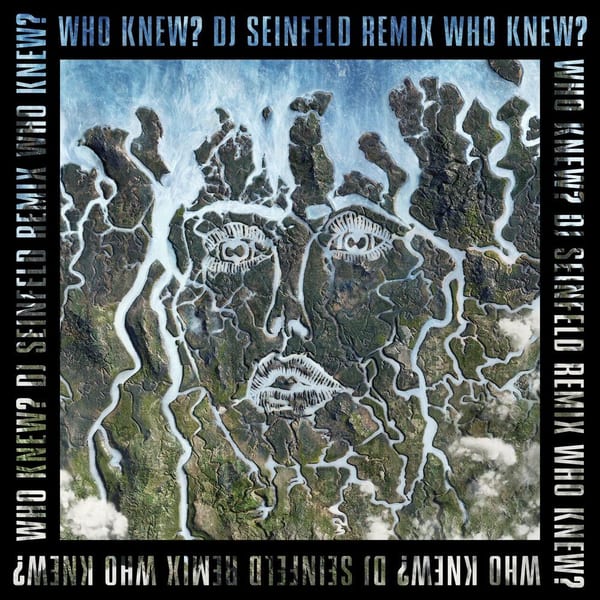 Who Knew? (DJ Seinfeld Remix) cover