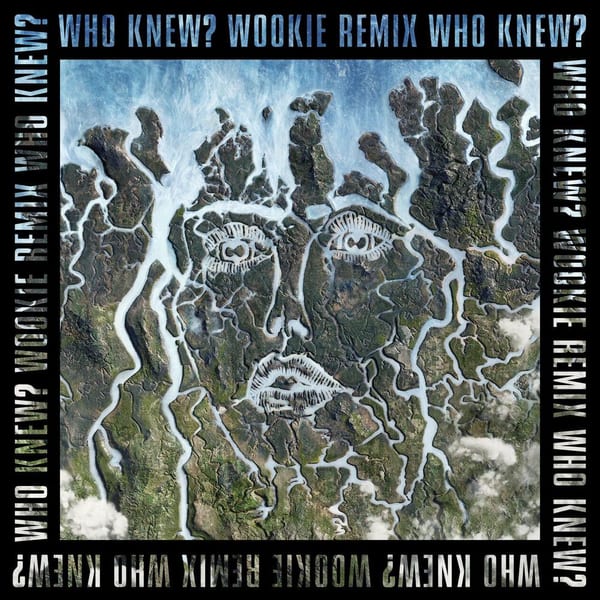Who Knew? (Wookie Remix) cover