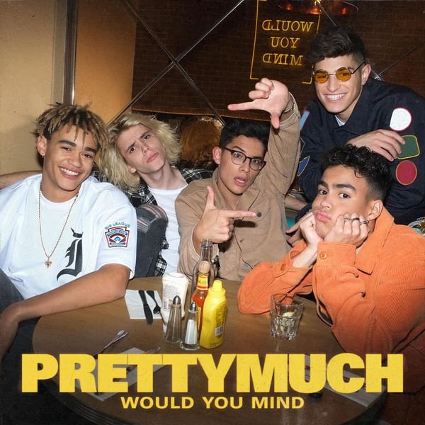 Would You Mind album cover