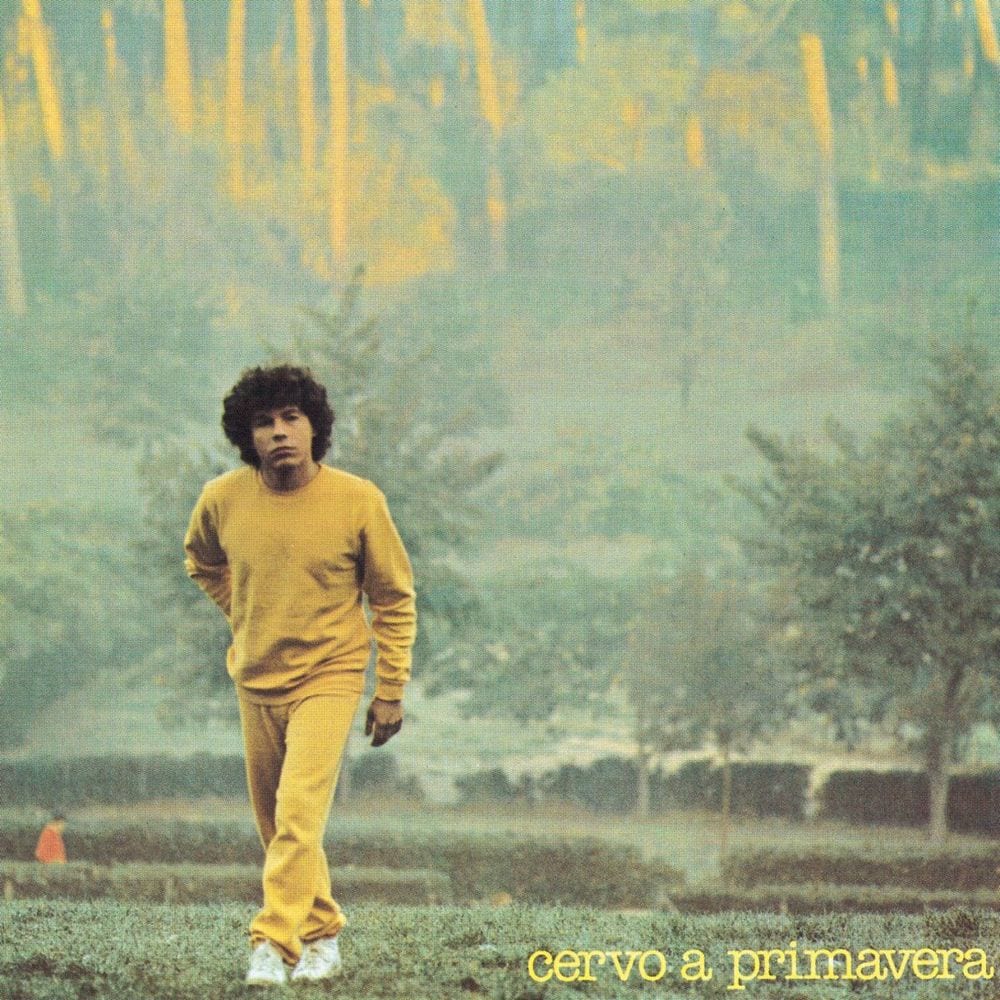 Cervo a primavera cover