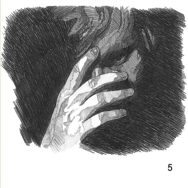 No.5 Collaborations Project cover