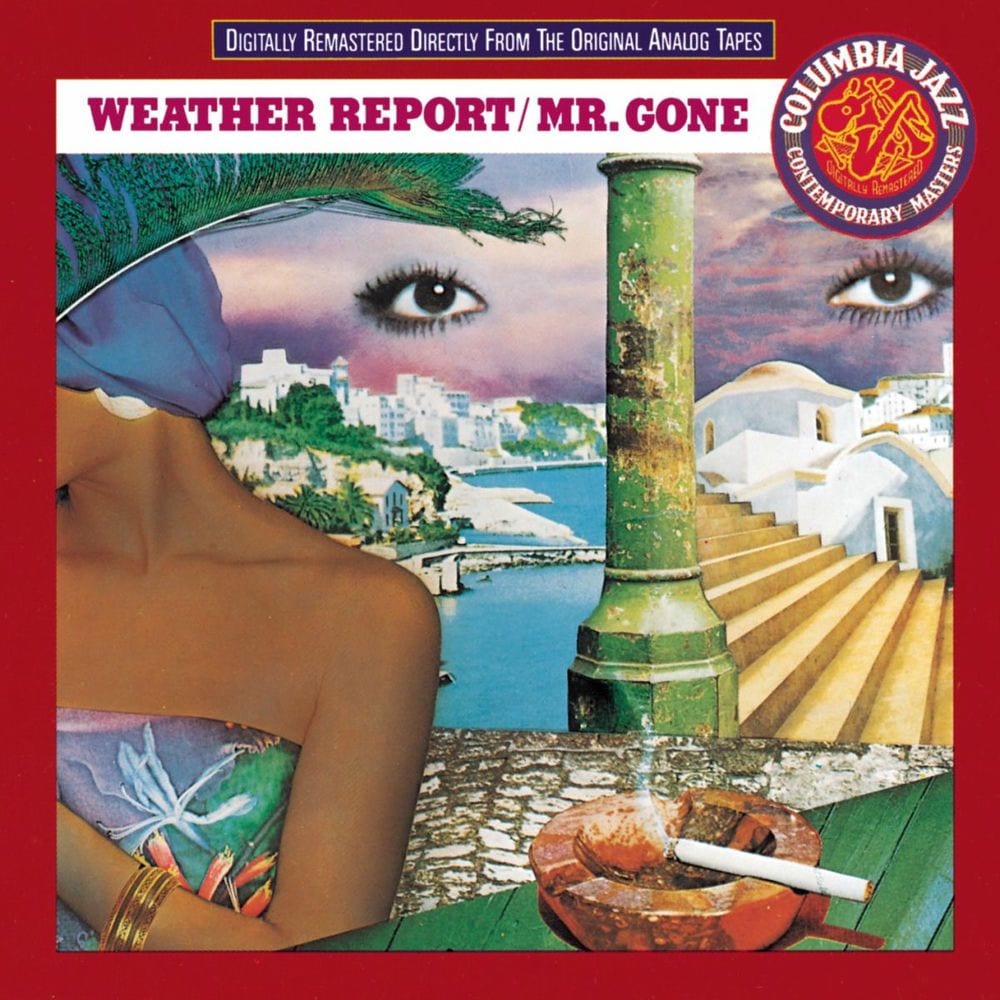 Mr. Gone cover