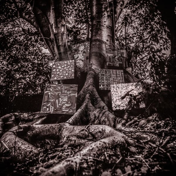 Harmony of Difference cover
