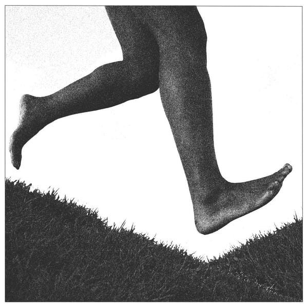 Which Way Is Forward? cover