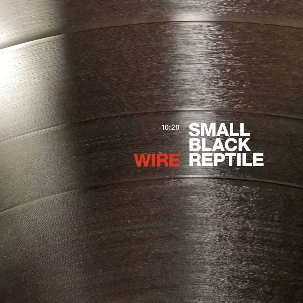Small Black Reptile (10:20 Version) cover