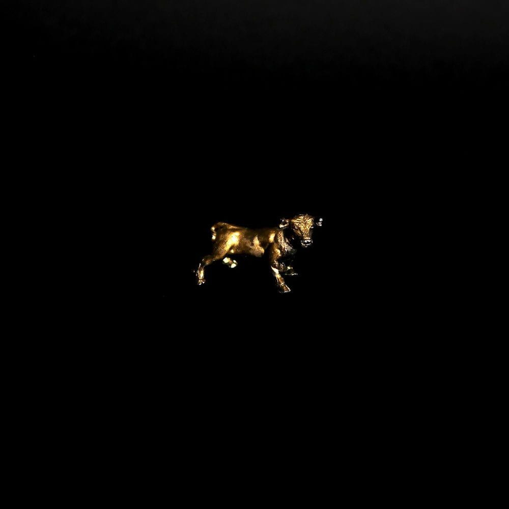 The Dark cover