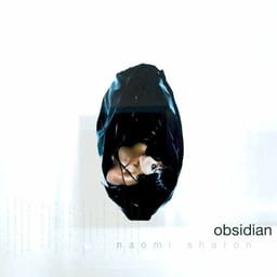 Obsidian album cover