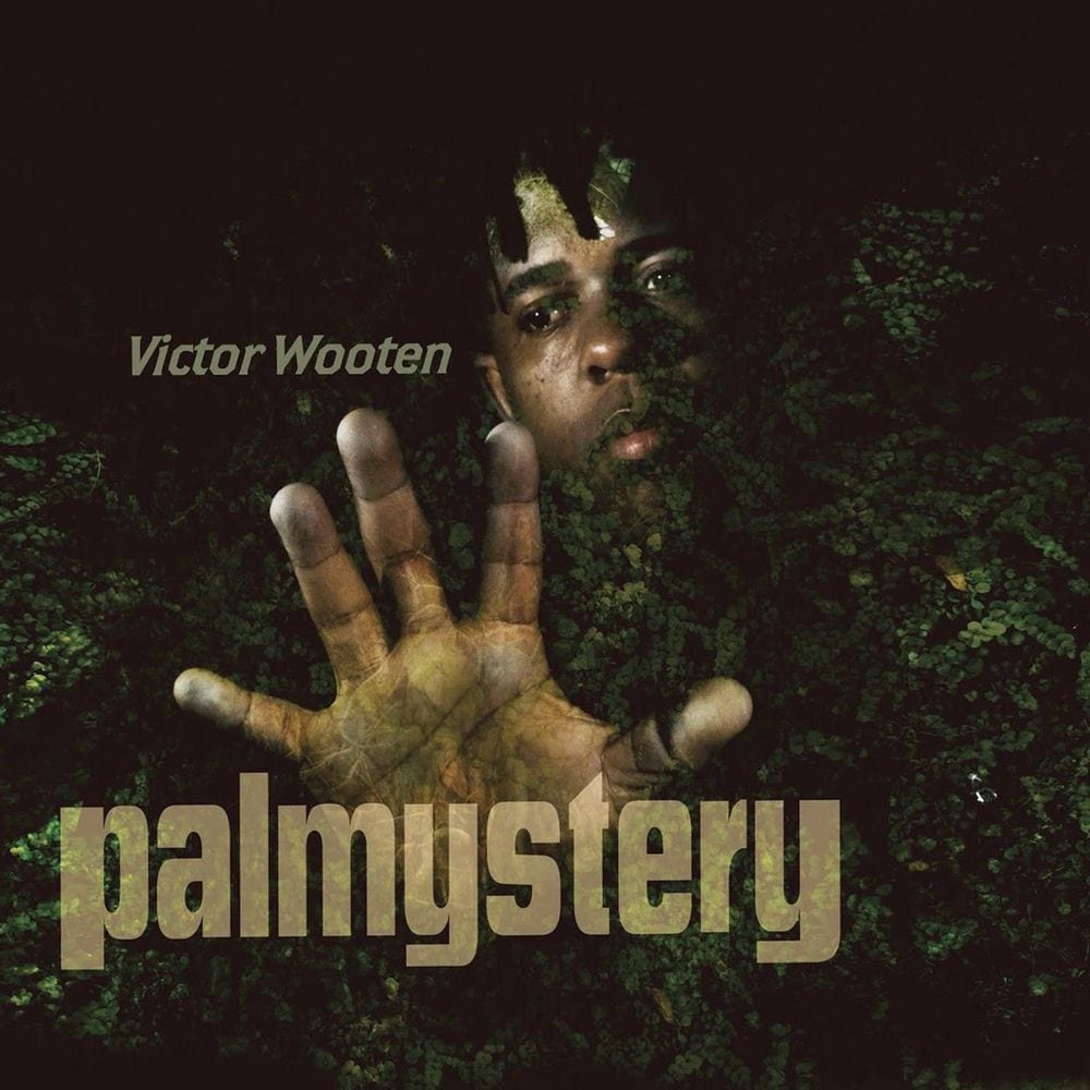 Palmystery cover