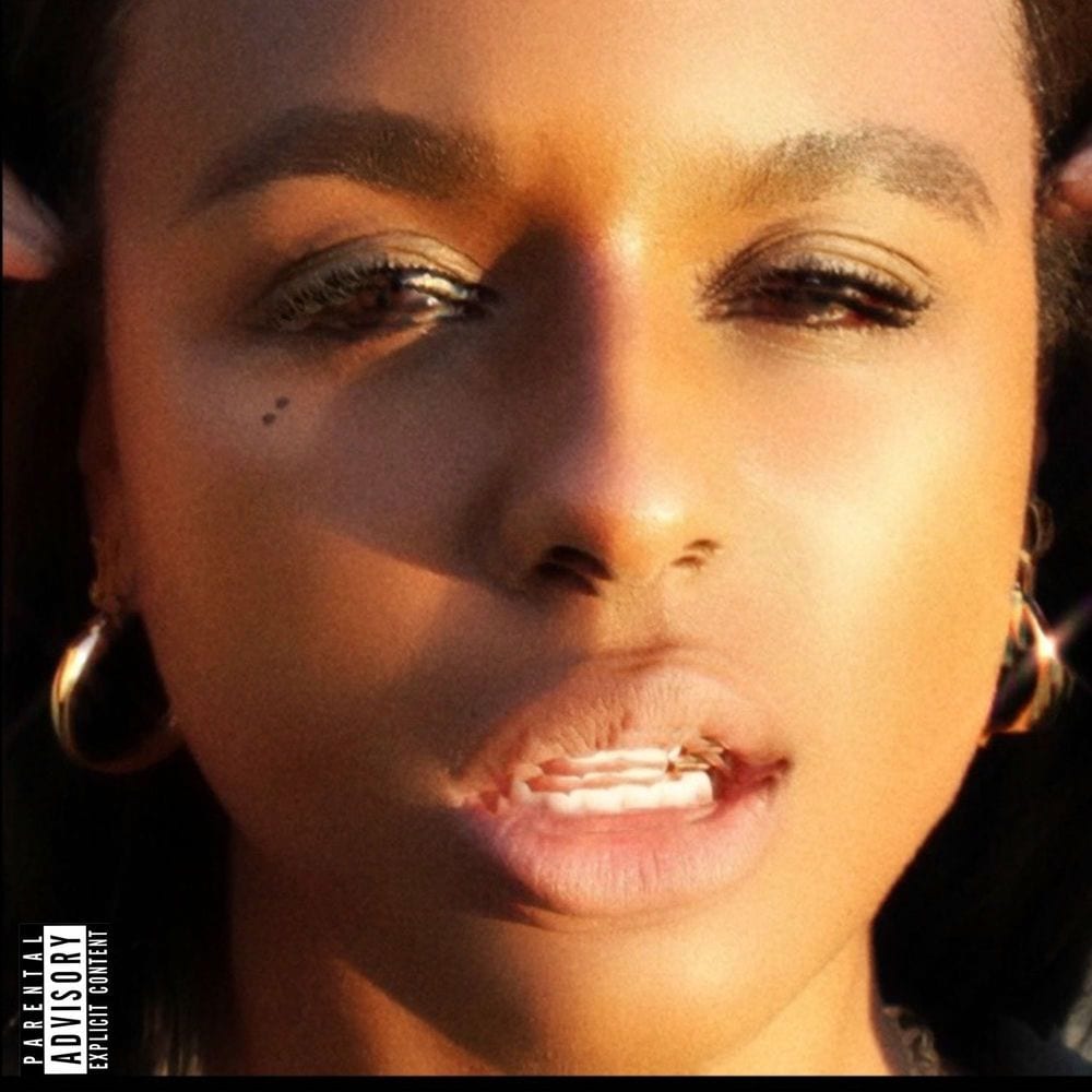 f**k it i'll do it myself cover