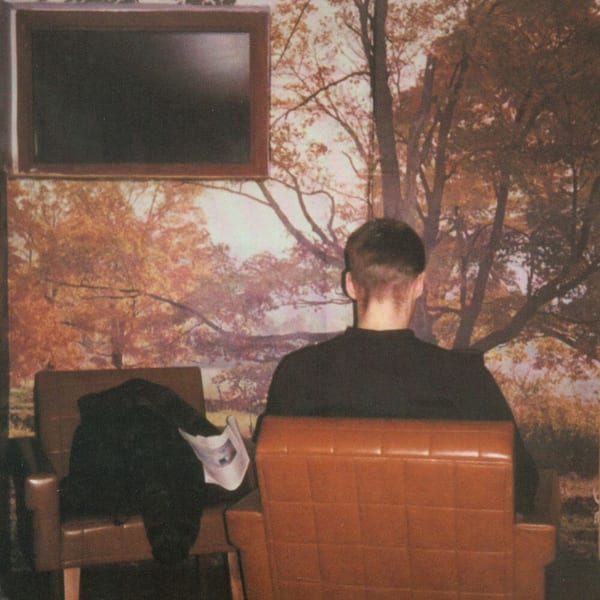 Furniture cover