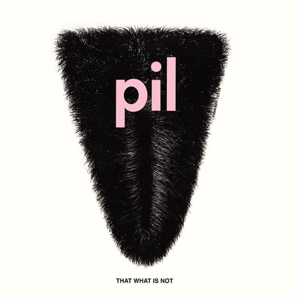That What Is Not (2011 Remaster) cover