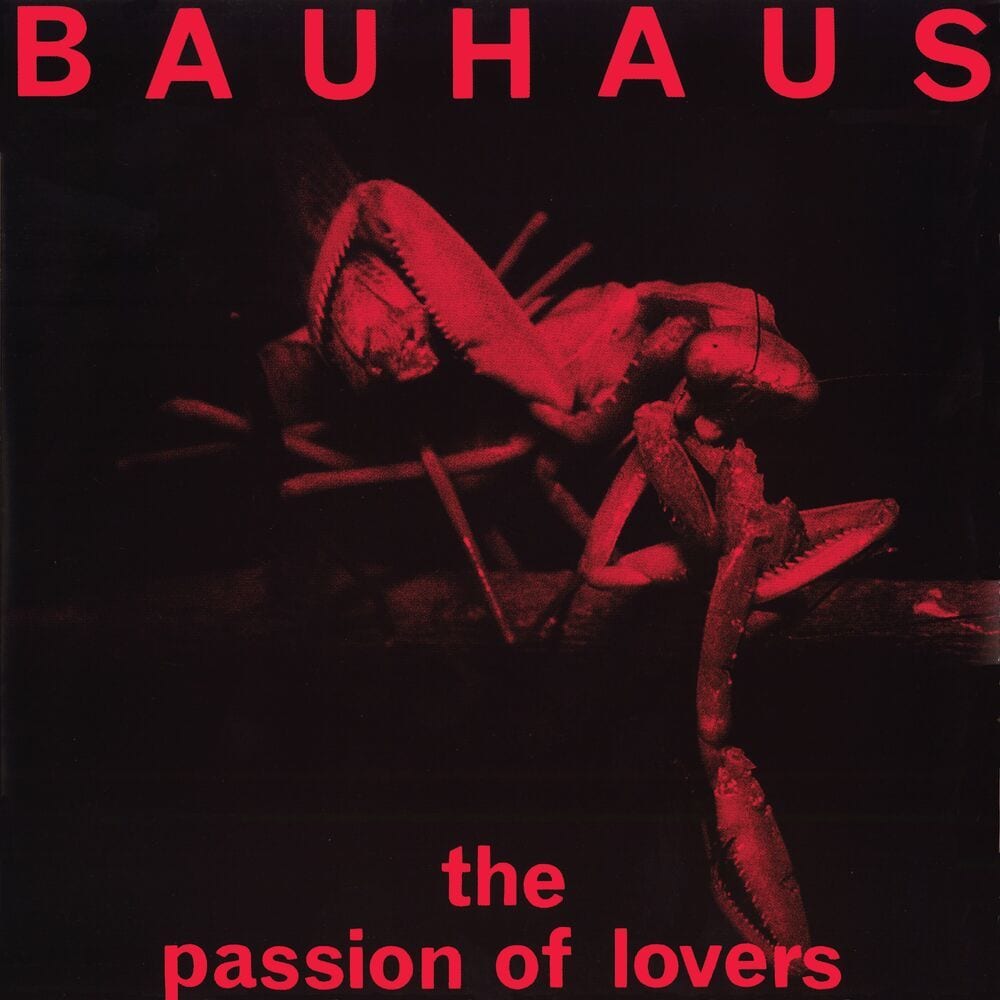 The Passion of Lovers cover