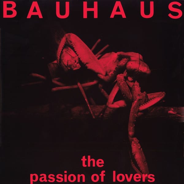 The Passion of Lovers cover