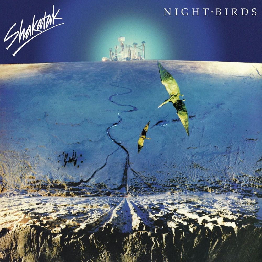 Night Birds cover