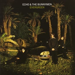 Evergreen cover art