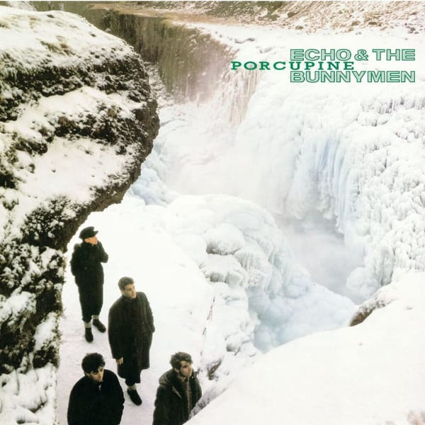 Porcupine album cover