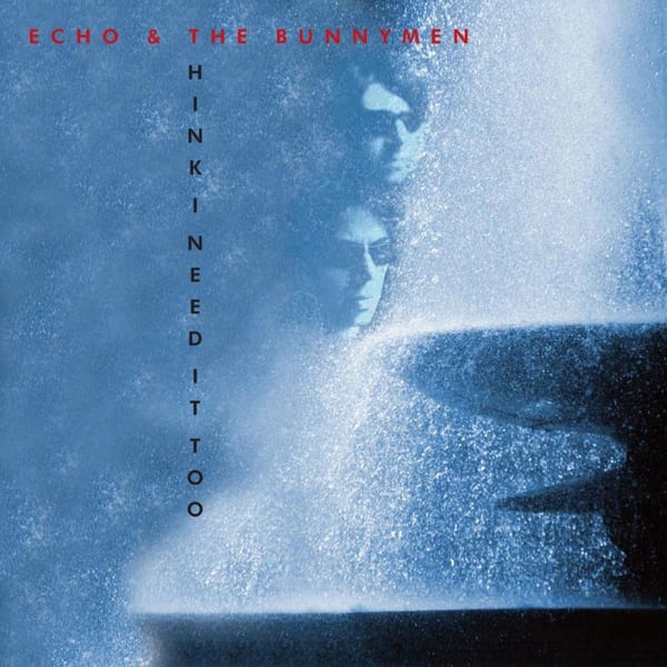Think I Need It Too album cover