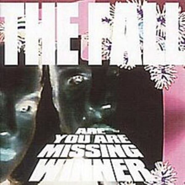 Are You Are Missing Winner cover