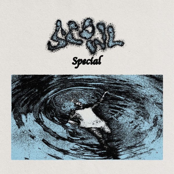 Special cover