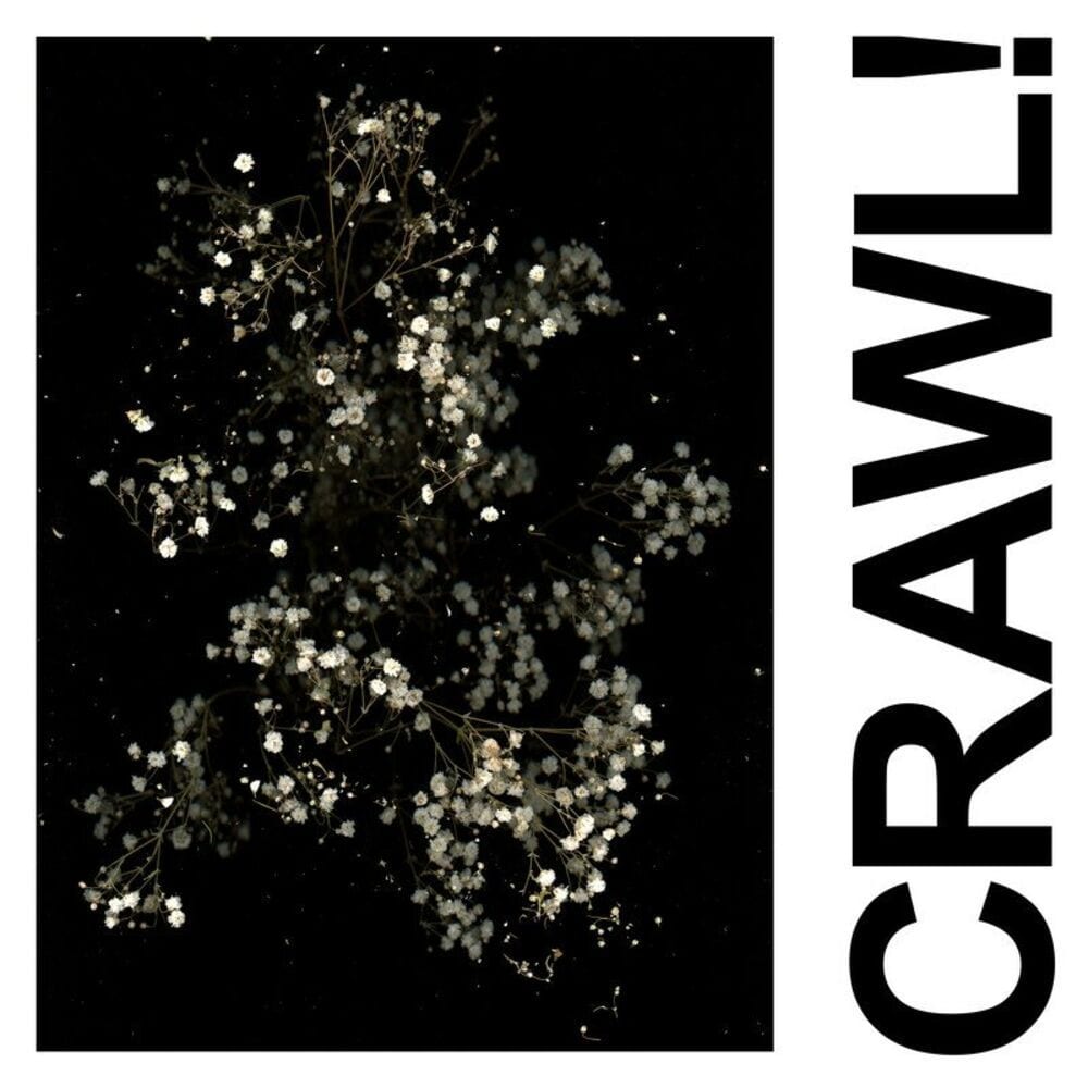 Crawl! (DGG Edit) cover