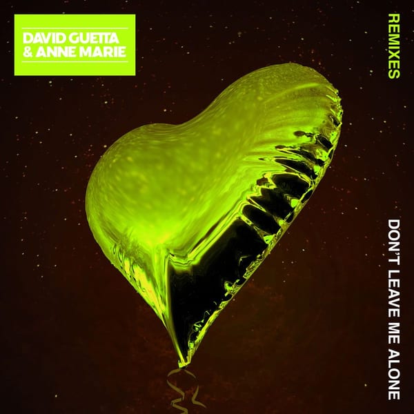 Don't Leave Me Alone (feat. Anne-Marie) (Remixes) cover