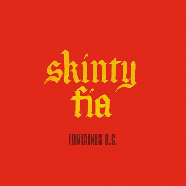 Skinty Fia cover