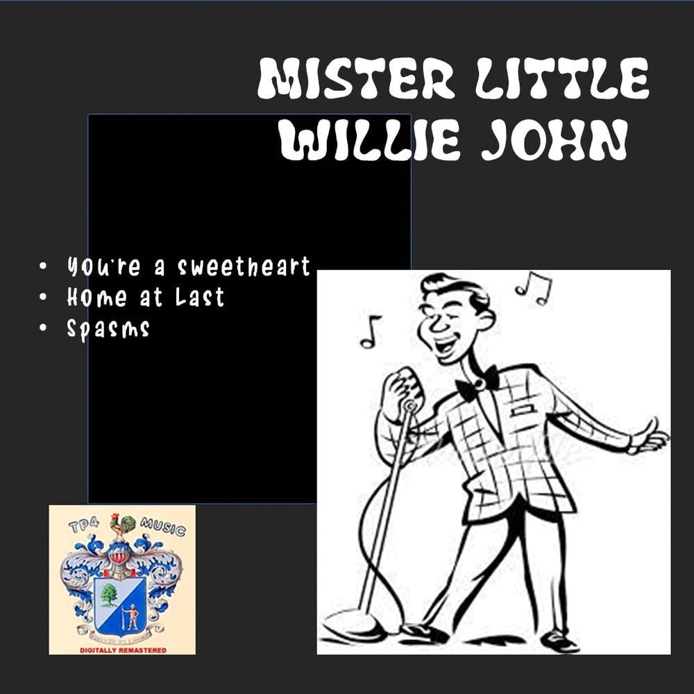 Mister Little Willie John cover