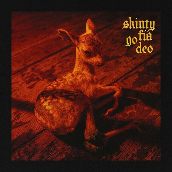 Skinty Fia go deo cover