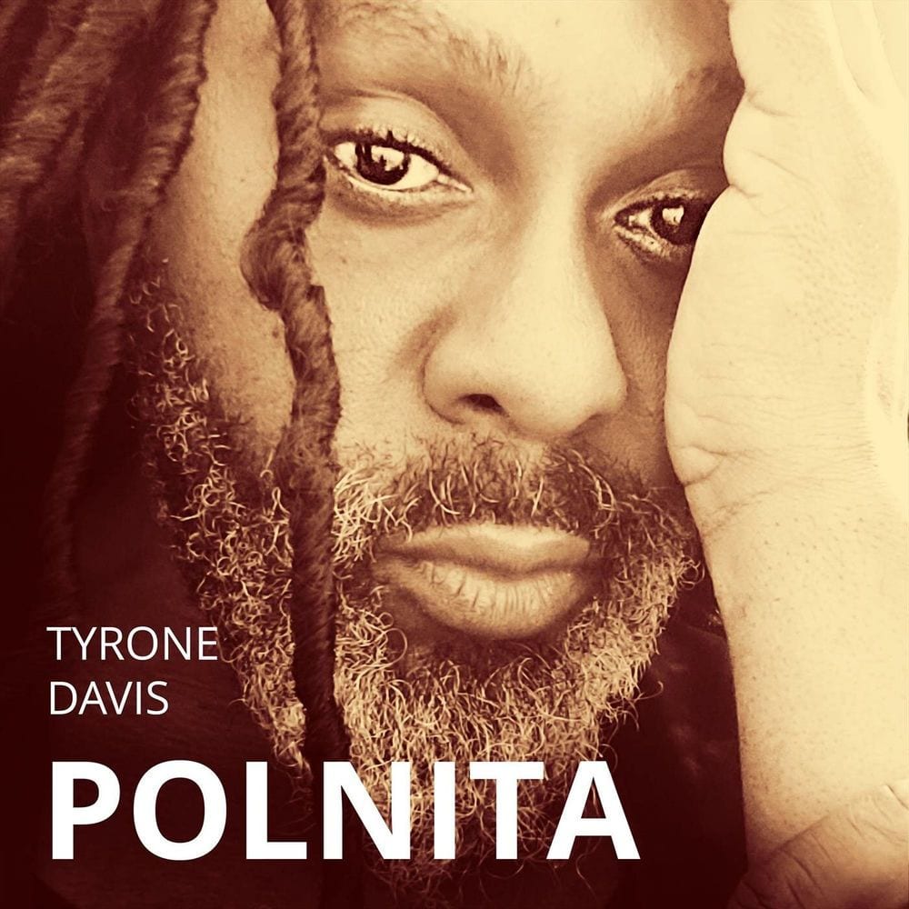 Polnita cover