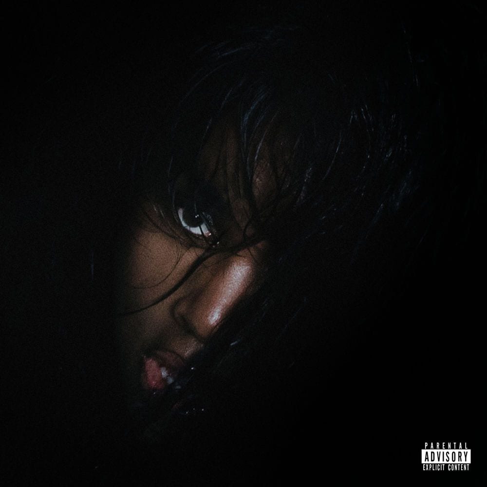 MENTAL cover