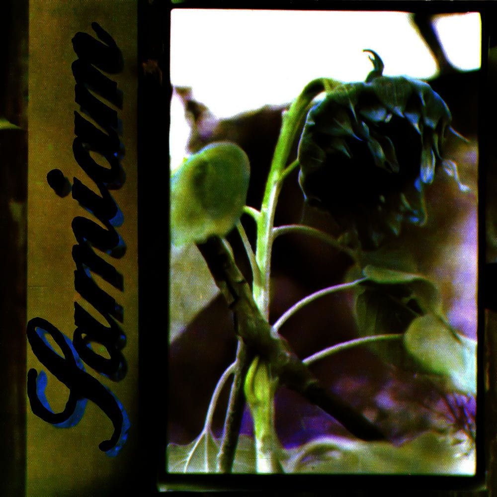 Samiam