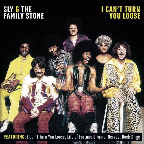 I Can't Turn You Loose cover